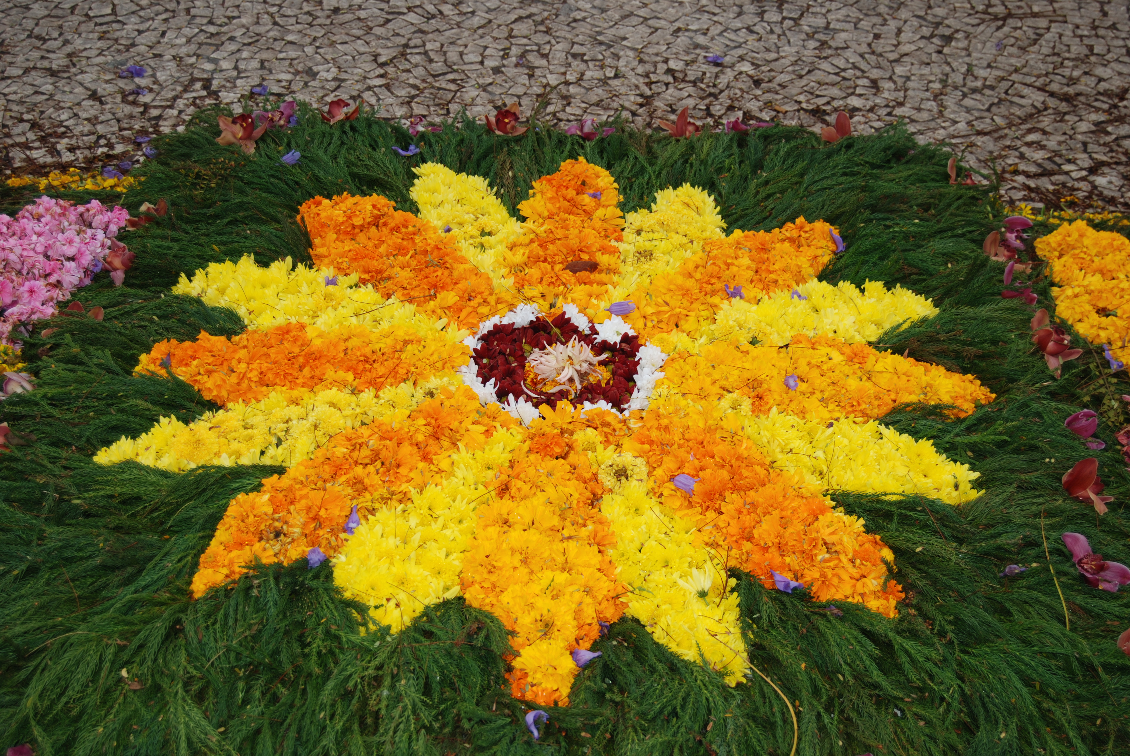 File:Flower decorations during the Flower Festival, Funchal, Maderia,  Portugal.jpg - Wikipedia