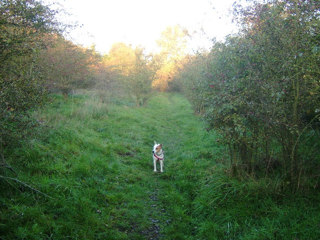 File:Former towpath in Oakthorpe and Donisthorpe, Leicestershire.jpg