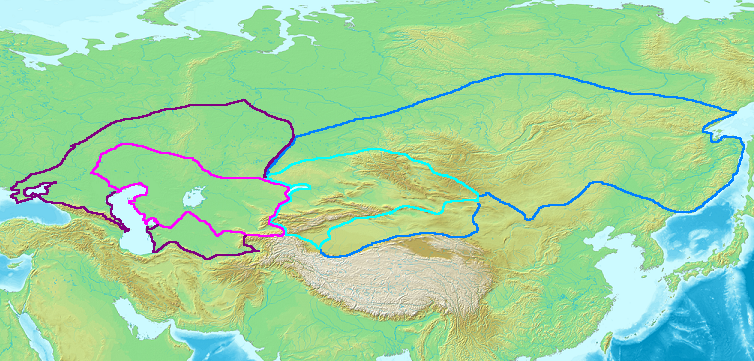 Реферат: Тюркский каганат 3