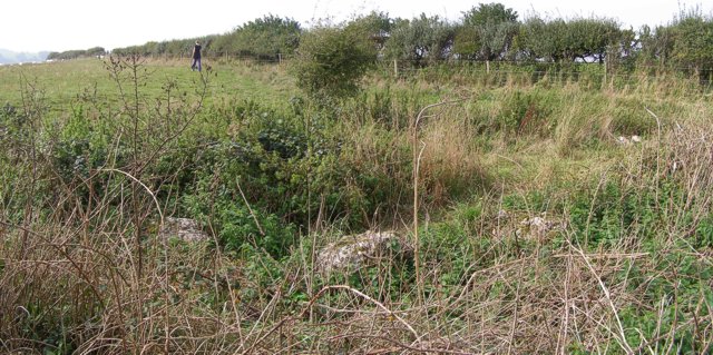 Hampton Down Stone Circle