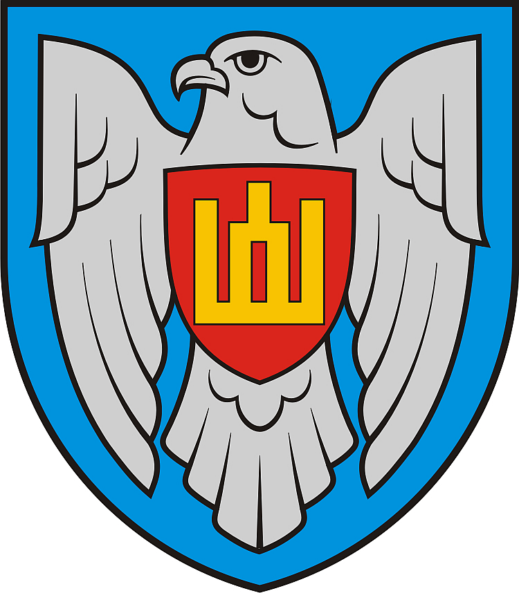 lithuanian air force