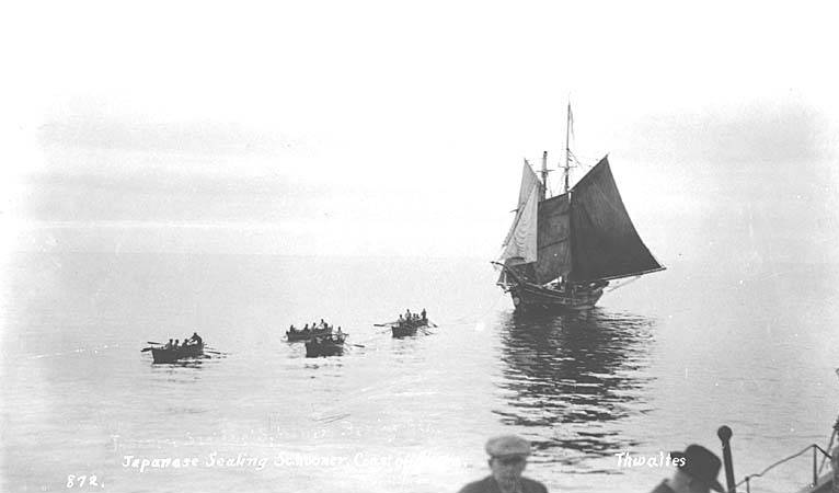 File:Japanese sealing schooner, Bering Sea, ca 1912 (THWAITES 214).jpeg