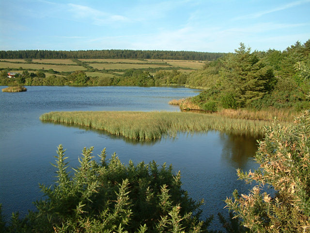 File:Kionslieu Reservoir - Isle of Man - geograph.org.uk - 32059.jpg