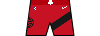 Torontoraptors pantalon kit icon2021.png