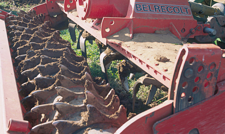 File:Les Plantes Cultivades. Cereals. Imatge 198.jpg