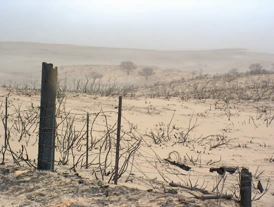 Photo of McClellan Creek National Grassland