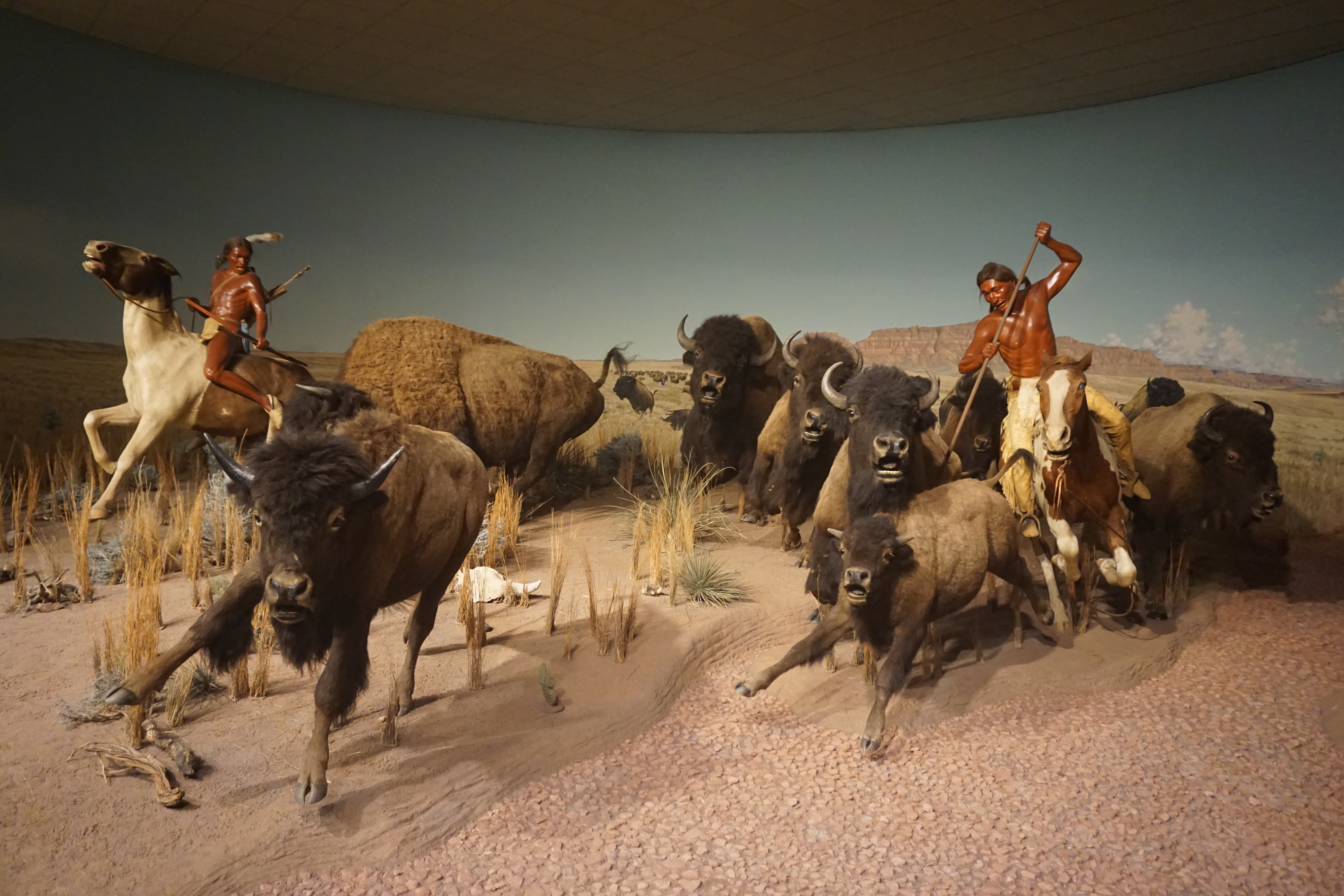 Bison hunting - Wikipedia