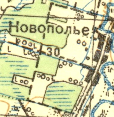 План деревни Новополье. 1931 год