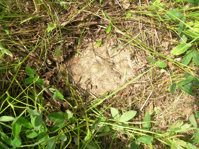 File:Ordnance Survey Surface Block (C1SN5808) - geograph.org.uk - 3546802.jpg