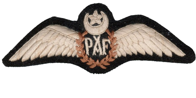 File:PAFBadgeGD(P).png