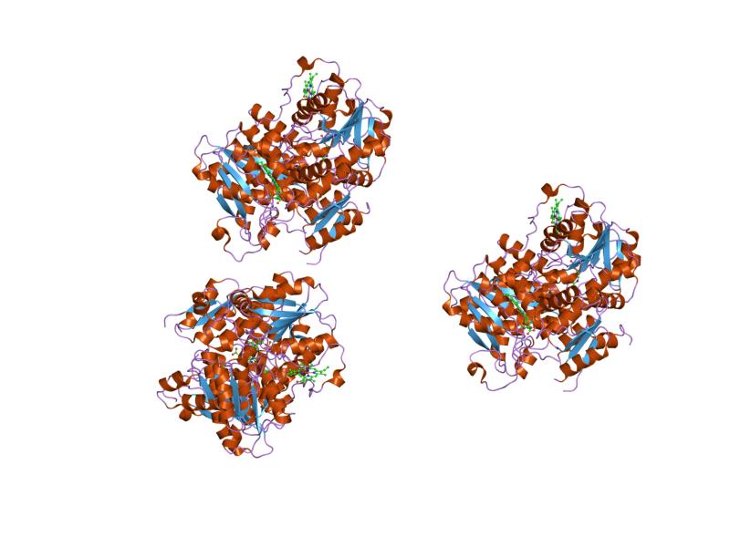 File:PDB 1jbq EBI.jpg