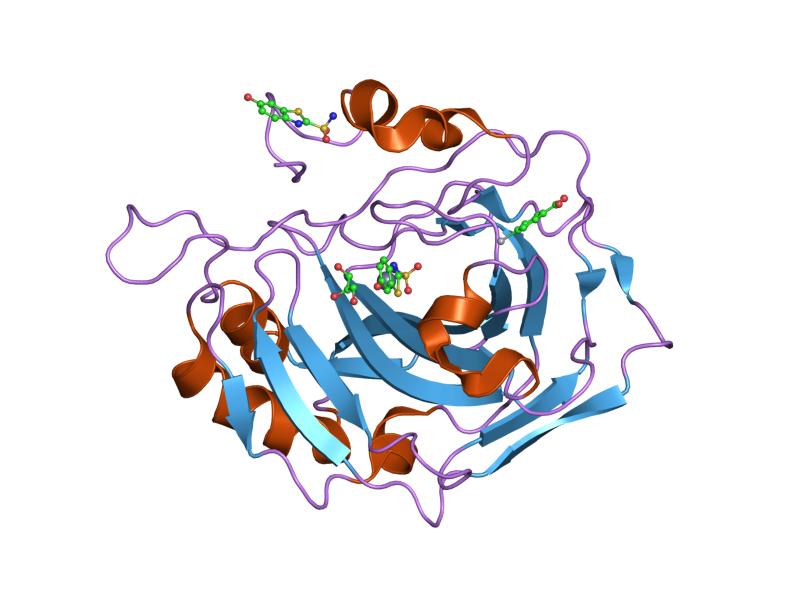 File:PDB 1zfq EBI.jpg