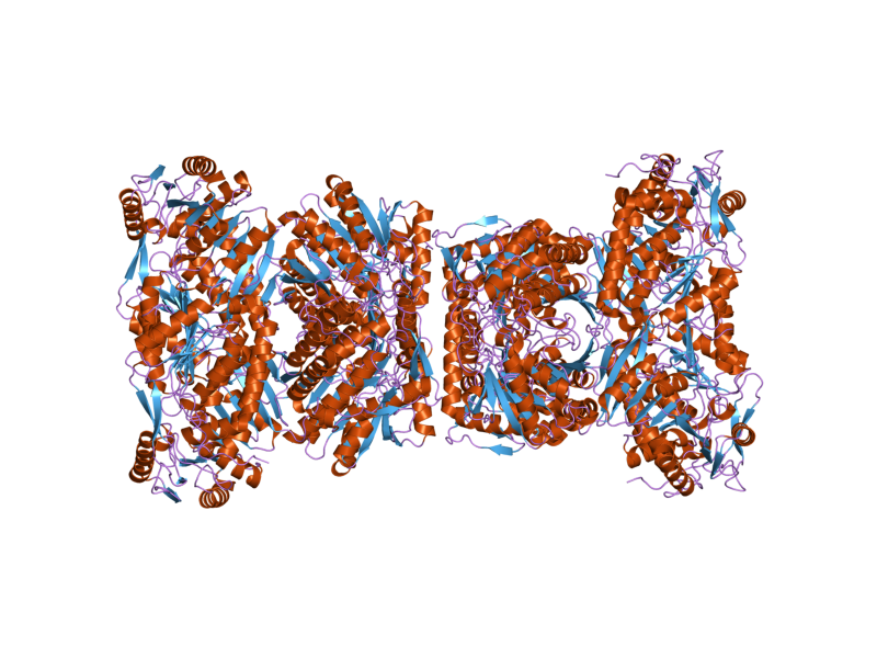 File:PDB 2ono EBI.png