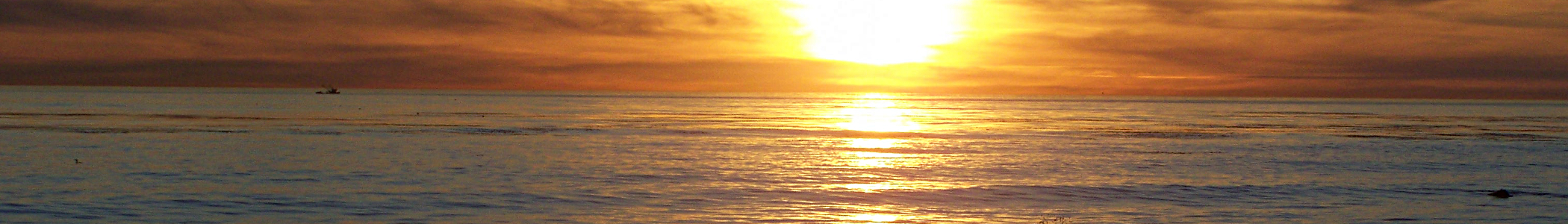 Playa del Rey, Los Angeles: Civic Pride Soars in This Tiny Beach