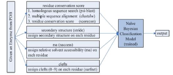 Prediction Model