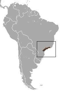 Distribuição de Muriqui-do-sul