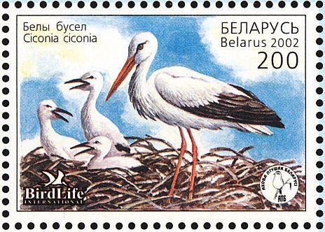 File:Stamp of Belarus - 2002 - Colnect 281010 - White Stork Ciconia ciconia.jpeg