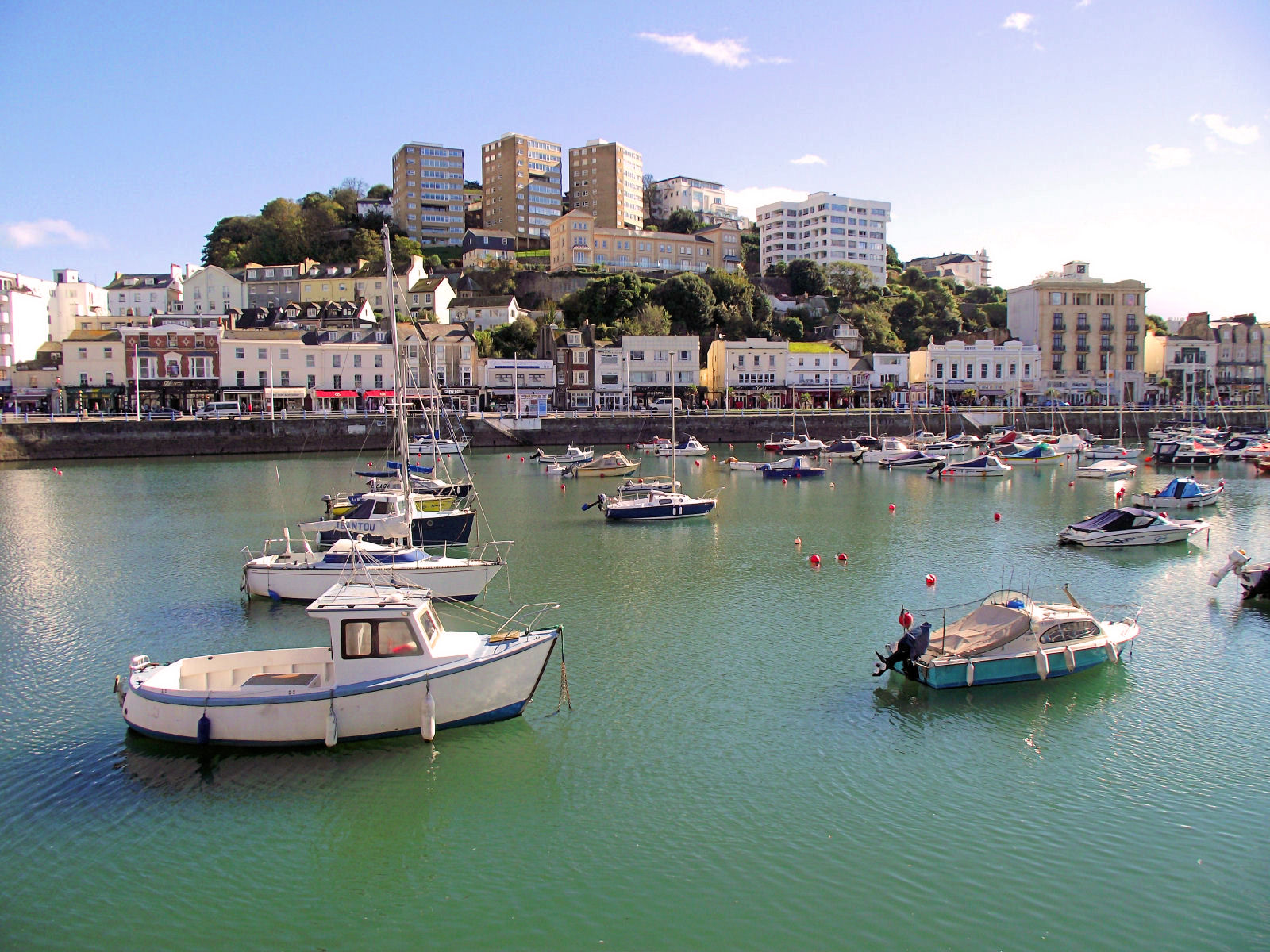 amateurys torbay devon uk