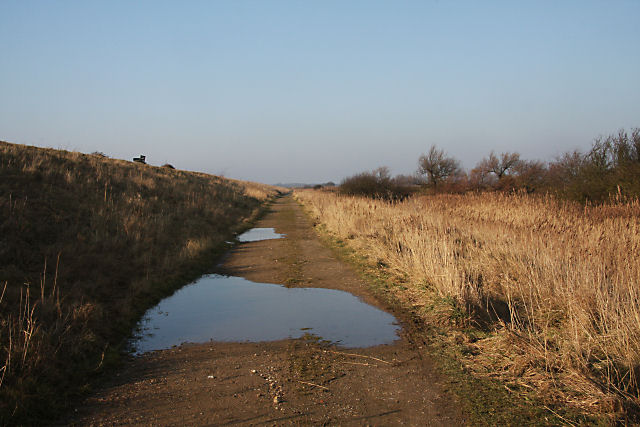 Along track. Кашкадарья. Qashqadaryo xaritasi 1580х1200.