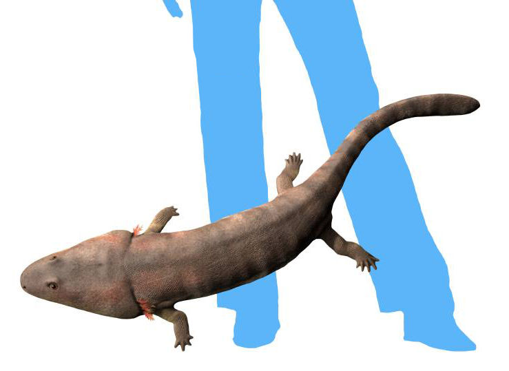 File:Trimerorhachis insignis life restoration.jpg