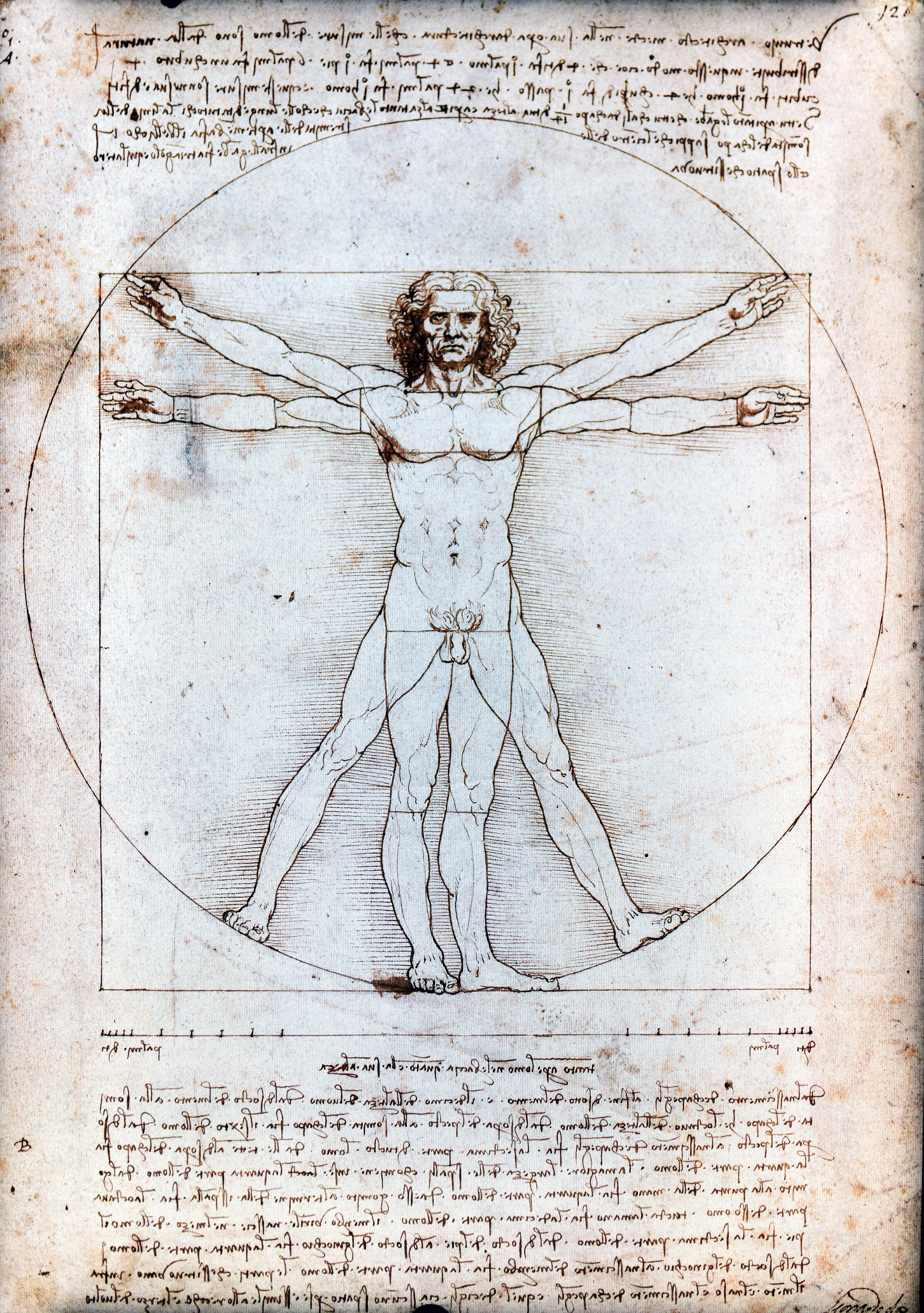 https://upload.wikimedia.org/wikipedia/commons/f/f1/Vitruvian_Man_by_Leonardo_da_Vinci.jpg