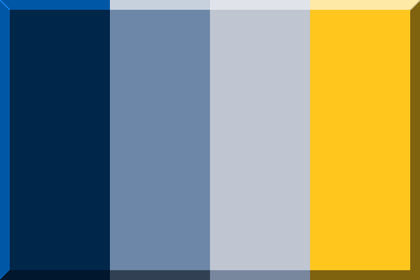 palette memphis grizzlies color