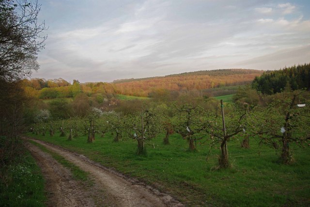 File:Across Oakwood Farm - geograph.org.uk - 1279645.jpg