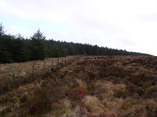 File:Arecleoch Forest - geograph.org.uk - 723689.jpg