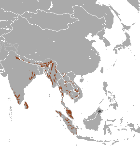 File:Asian Elephant area.png
