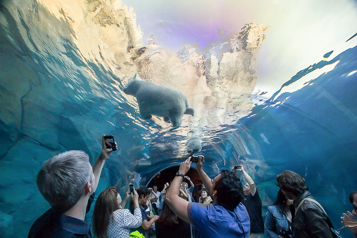 Assiniboine Park Zoo