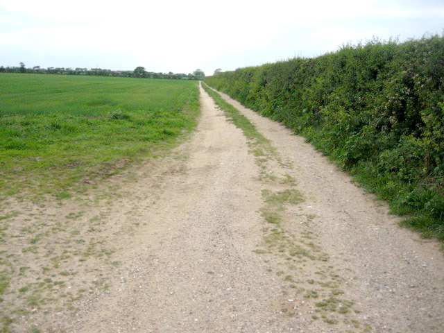 Bridleway off Mill Road - geograph.org.uk - 444676