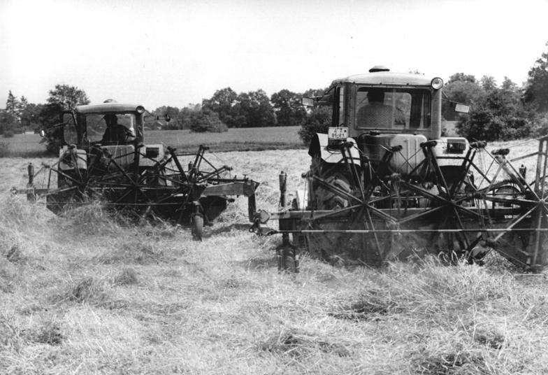 File:Bundesarchiv Bild 183-1983-0613-002, LPG Großräschen, Heuwenden.jpg