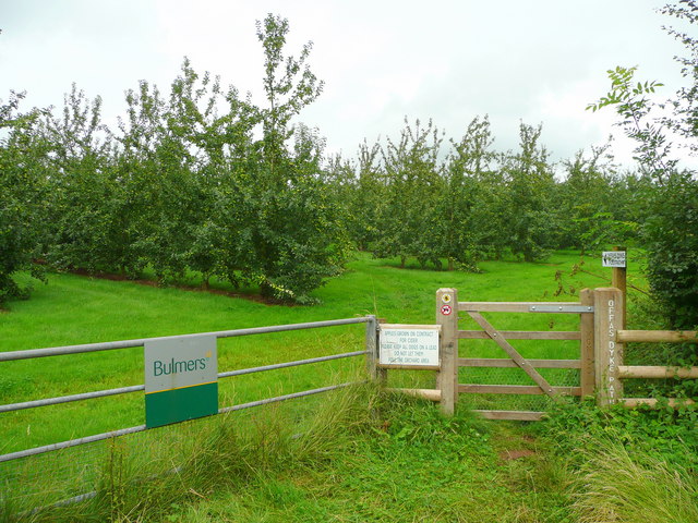 File:Cider orchards by the Offa's Dyke Path - geograph.org.uk - 929461.jpg