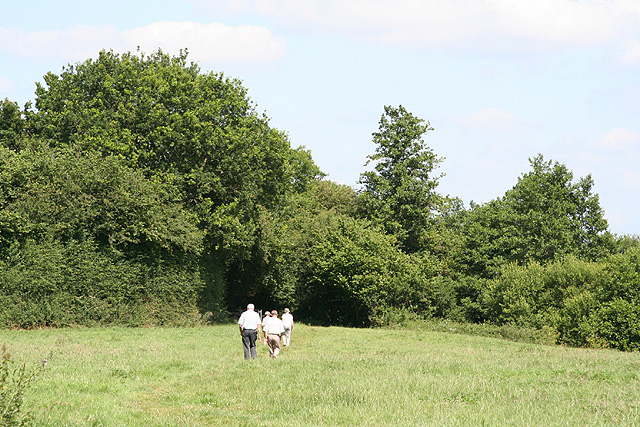 File:Crediton, footpath to town - geograph.org.uk - 201529.jpg