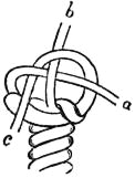 EB1911 - Knot - Fig. 24 - Single Wall Crowned.jpg