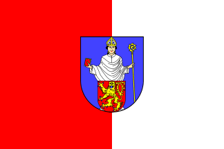 File:Flag of Bendorf city (Germany).gif