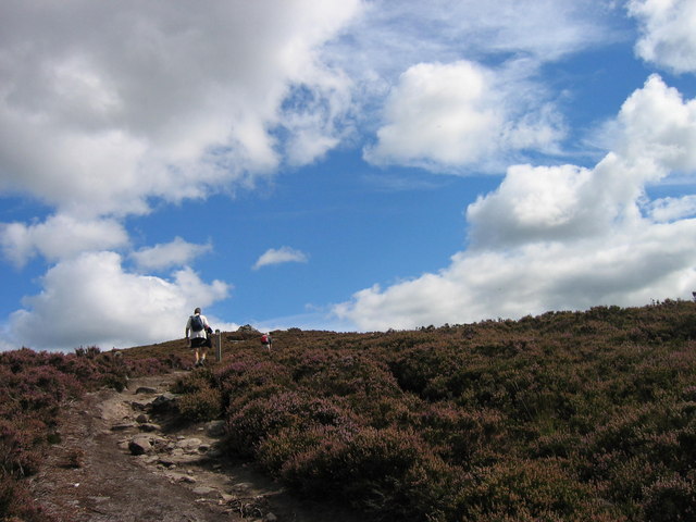 File:Footpath to Long Crag - geograph.org.uk - 229271.jpg