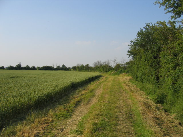 File:Footpath to nowhere - geograph.org.uk - 196070.jpg