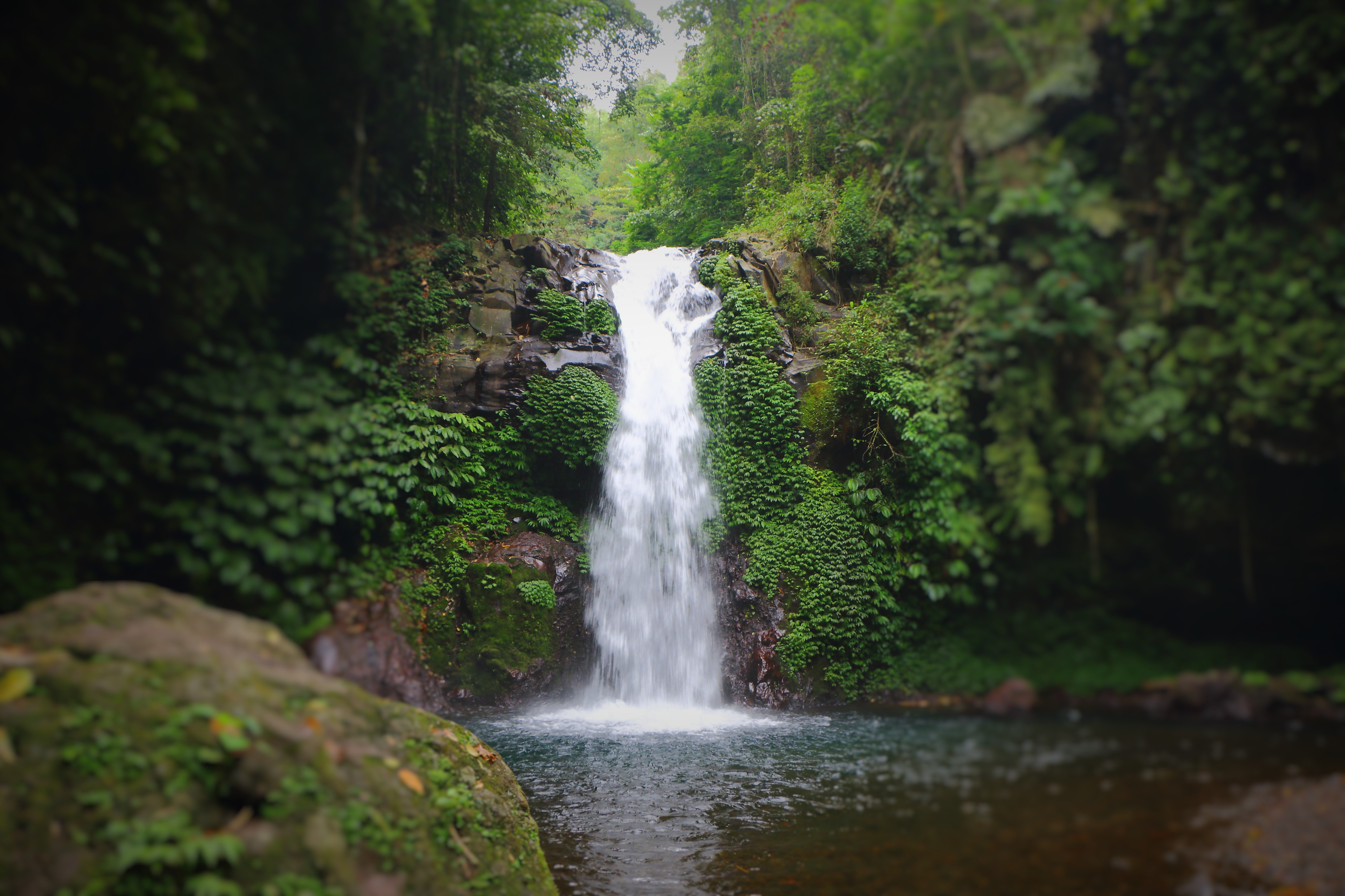 File:Gitgit waterfalls in Bali; January 2015.jpg - Wikimedia Commons