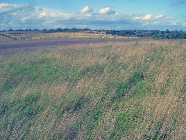 Grassland north of the Sence Valley Forest Park - geograph.org.uk - 1495145