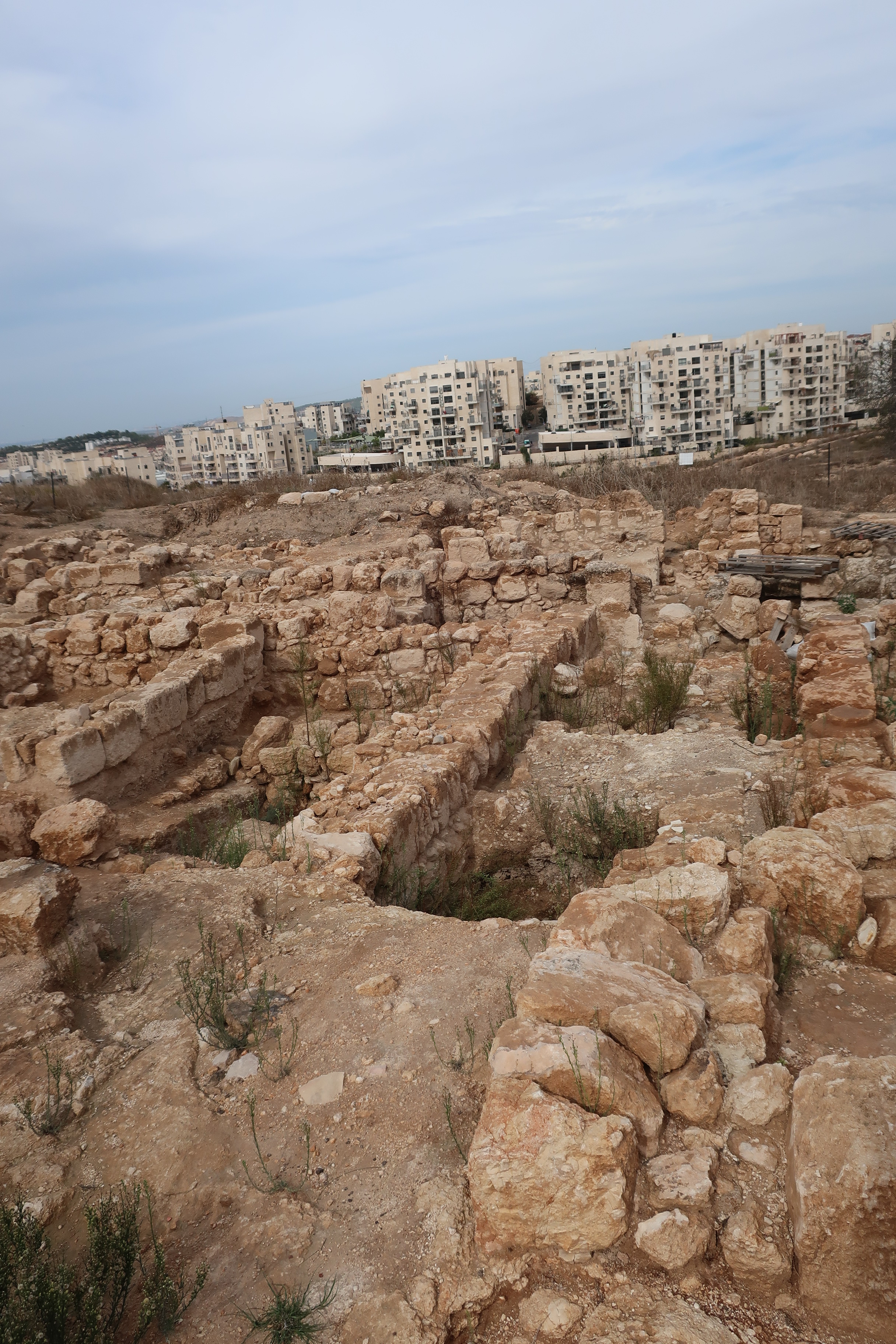 イスラエルの考古学 Archaeology Of Israel: 最新の百科事典、ニュース