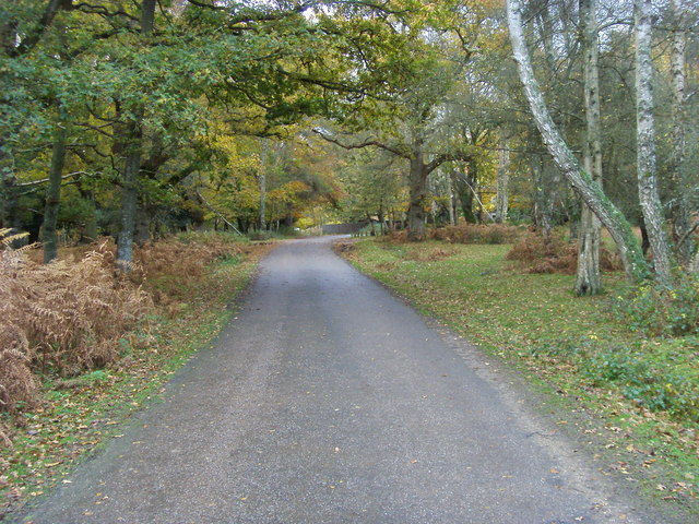 File:Lane to Ashurst Lodge - geograph.org.uk - 1063634.jpg