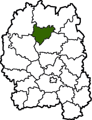 <span class="mw-page-title-main">Luhyny Raion</span> Former subdivision of Zhytomyr Oblast, Ukraine