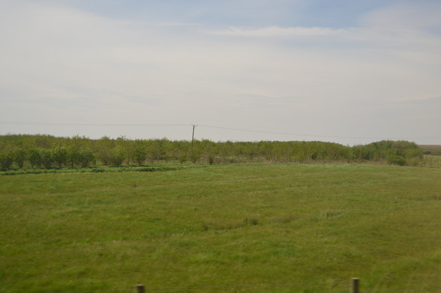 File:Near Cross Bridge Rhyne - geograph.org.uk - 5318758.jpg