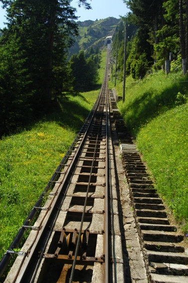 The world's longest stairway at the Niesenbahn funicular in Switzerland has 11,674 steps