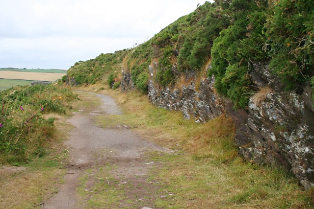 On Revelstoke Drive - geograph.org.uk - 1390616