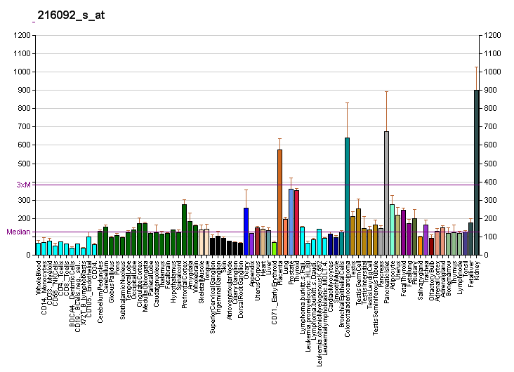 File:PBB GE SLC7A8 216092 s at fs.png