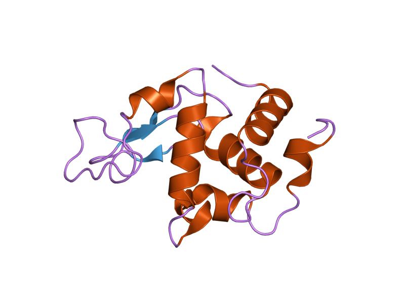 File:PDB 1di4 EBI.jpg