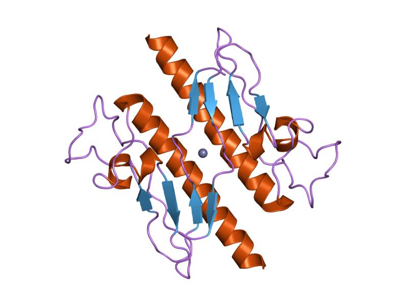 File:PDB 1t92 EBI.jpg