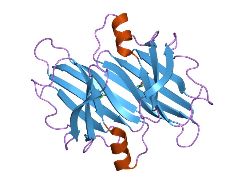 File:PDB 2b14 EBI.jpg